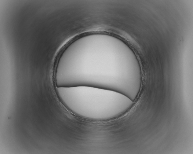 X0000113041216200908271027