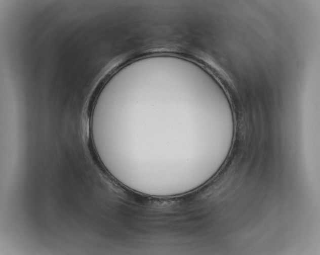 X0000113041221200908271028