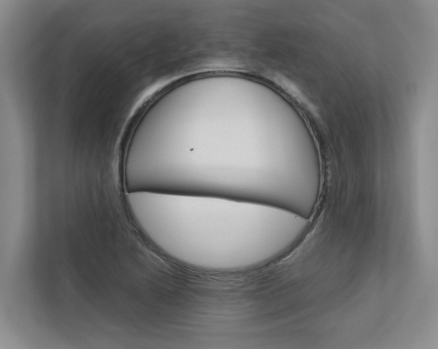 X0000113041222200908271028