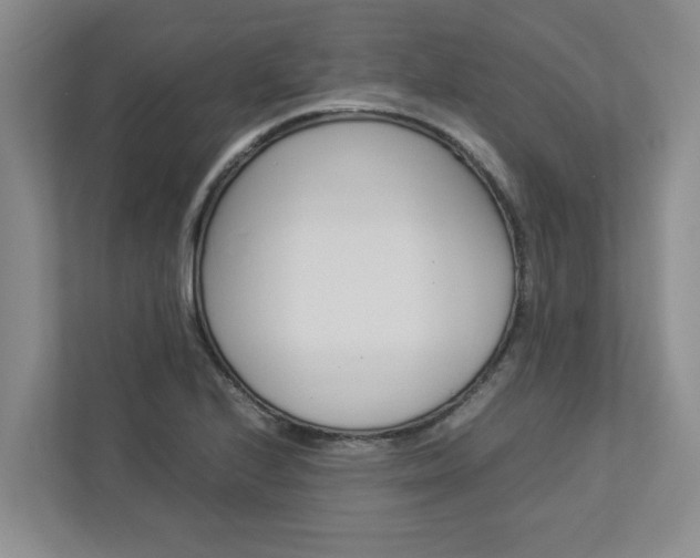 X0000113041224200908271028