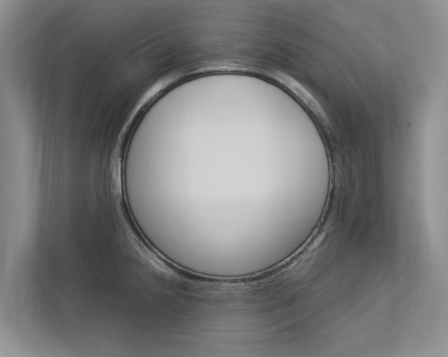 X0000113041238200908271028