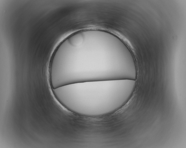 X0000113041239200908271028