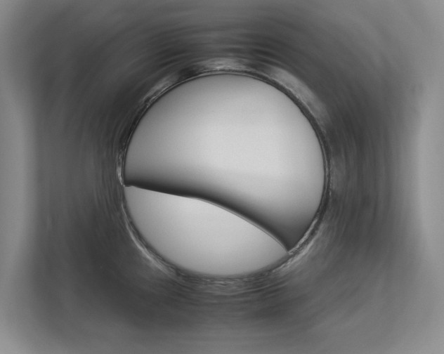 X0000113041241200908271028