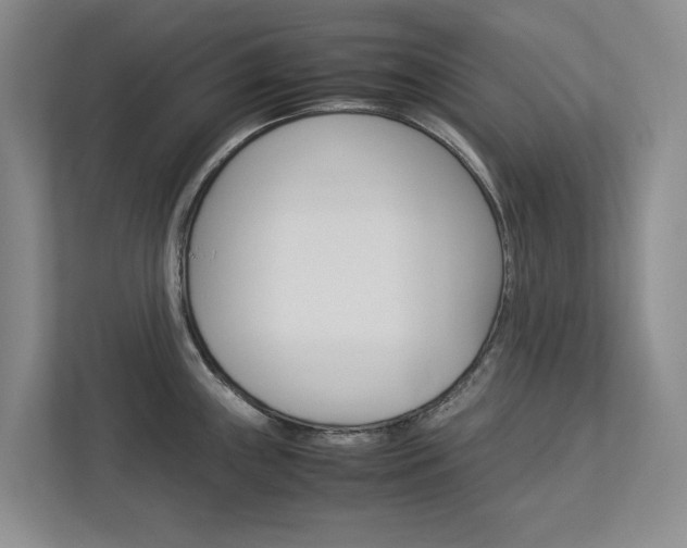 X0000113041243200908271028