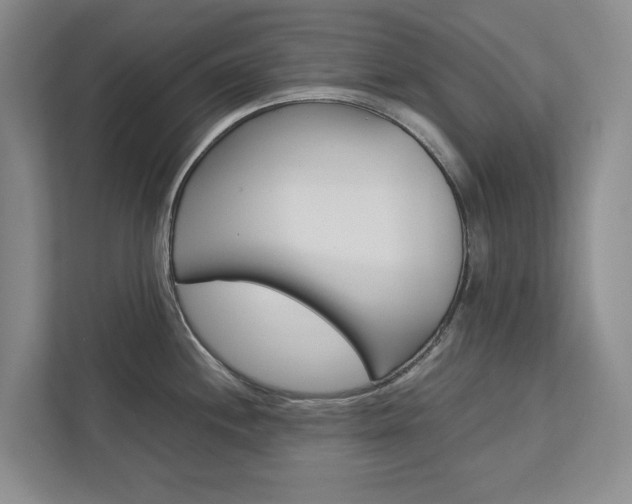 X0000113041244200908271028