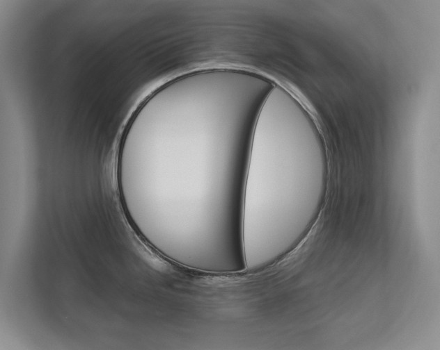 X0000113041246200908271028