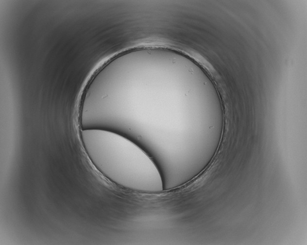 X0000113041248200908271028