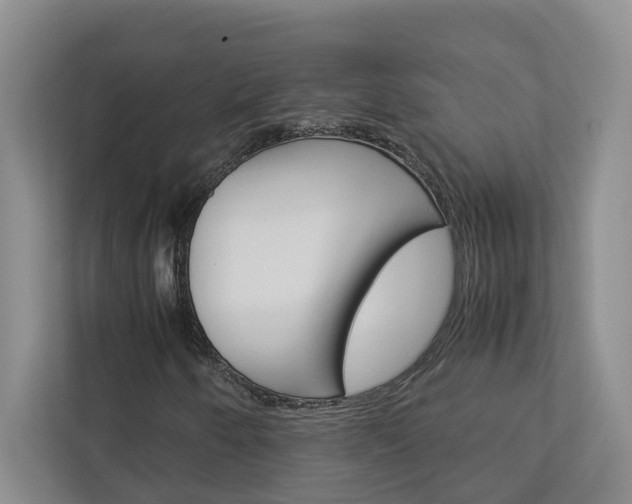 X0000113041250200908271027