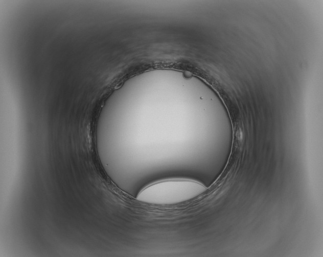 X0000113041252200908271027