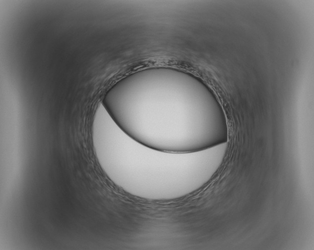 X0000113041253200908271027