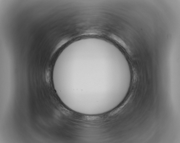 X0000113041258200908271027