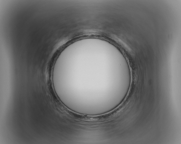 X0000113041261200908271027