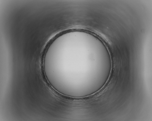 X0000113041264200908271027