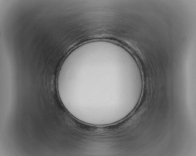X0000113041265200908271027