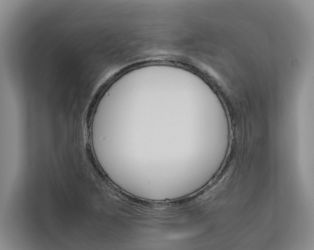 X0000113041267200908271027