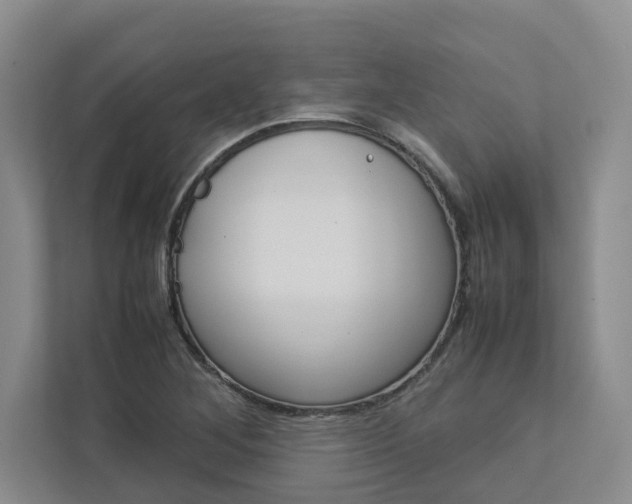 X0000113041268200908271027