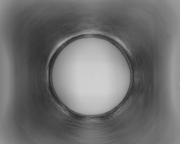 X0000113041270200908271027