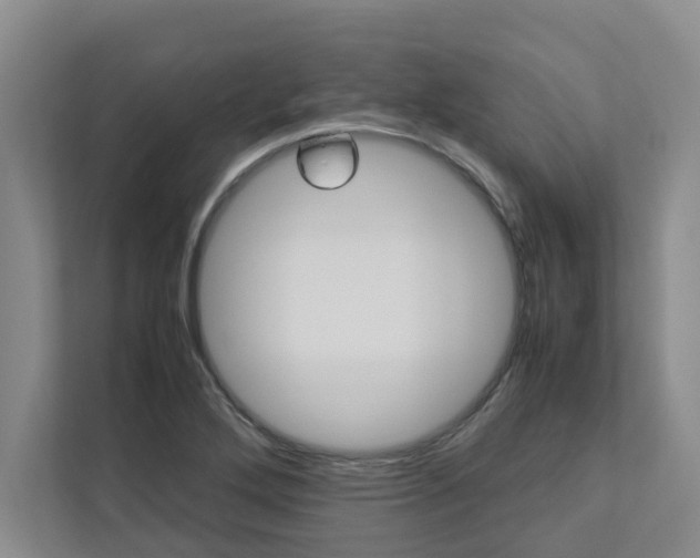 X0000113041272200908271027