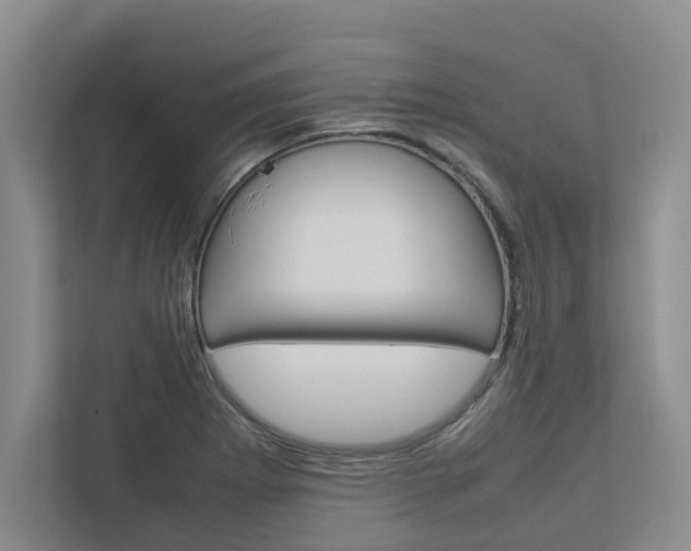 X0000113041273200908271027