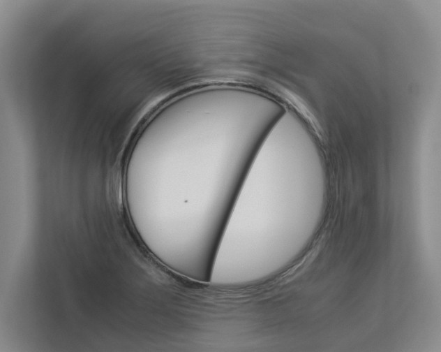 X0000113041275200908271027