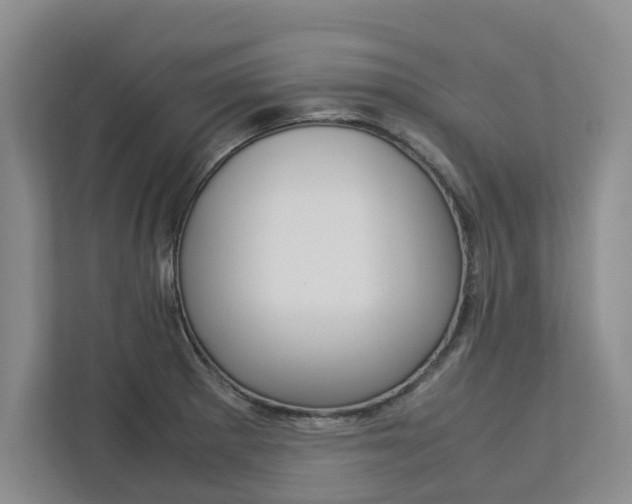 X0000113041281200908271027