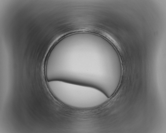 X0000113041283200908271027