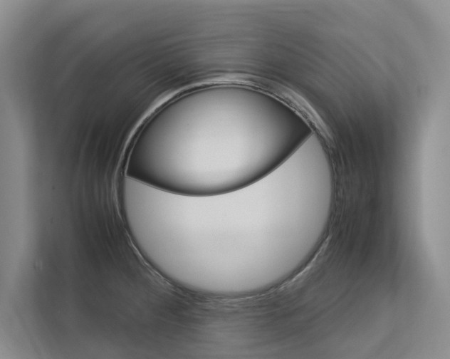 X0000113041284200908271027