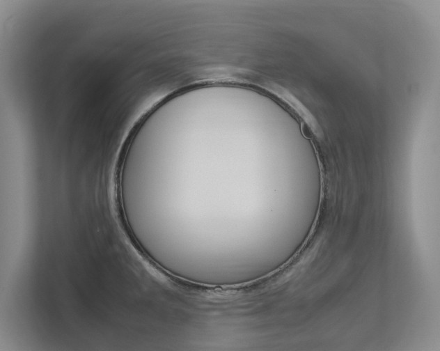X0000113041285200908271027