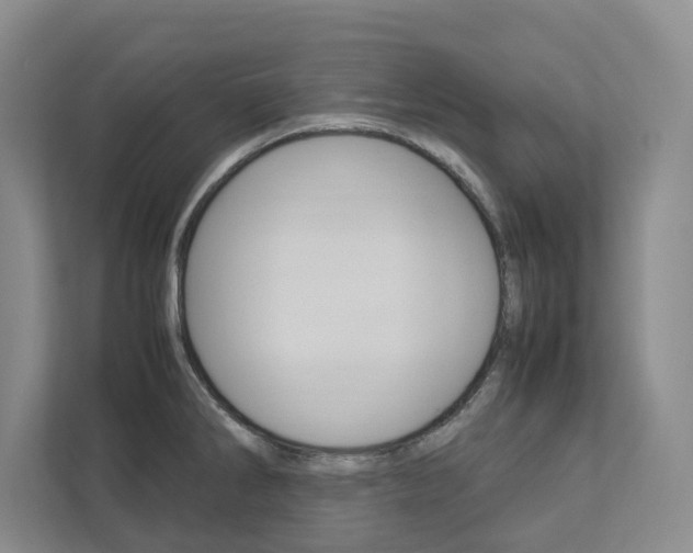 X0000113041286200908271027