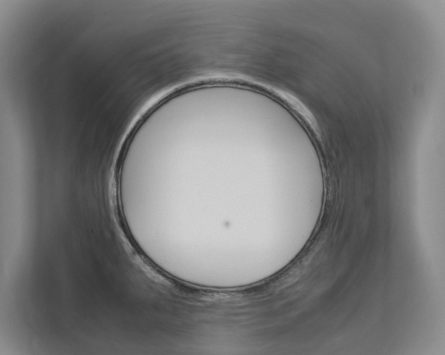 X0000113041287200908271027