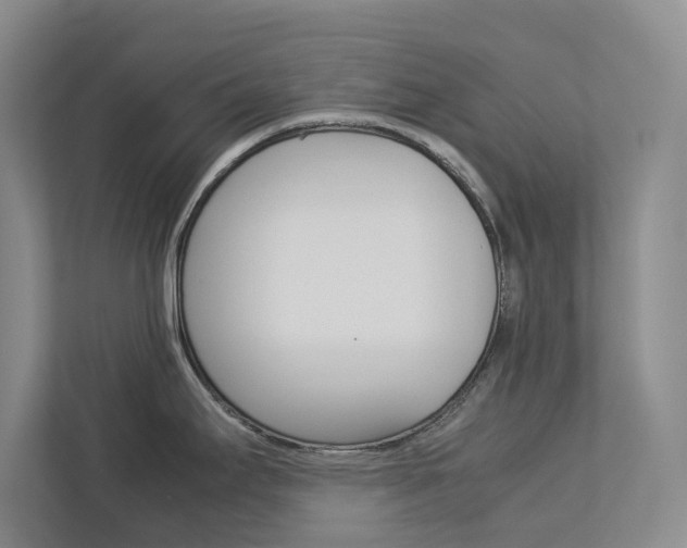 X0000113041295200908271027