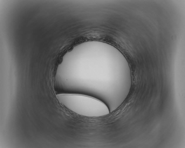 X0000113041297200908271026