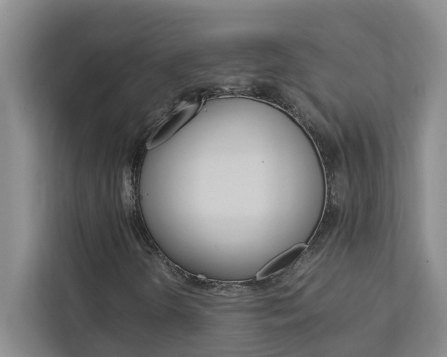 X0000113041298200908271026