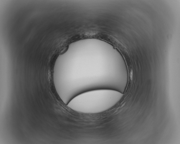 X0000113041299200908271026