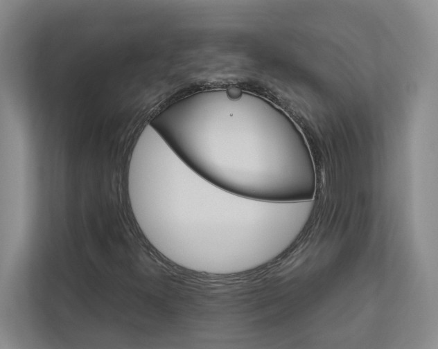 X0000113041300200908271026