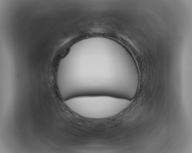 X0000113041303200908271026
