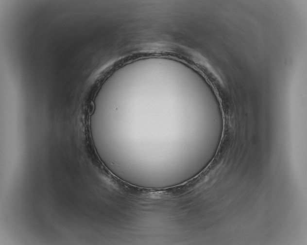 X0000113041304200908271026
