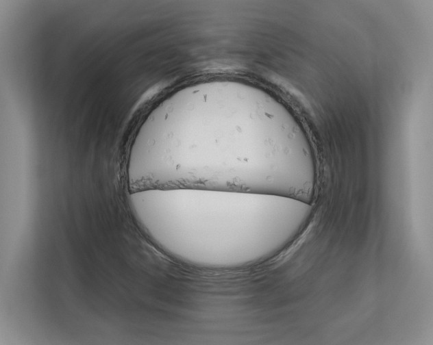 X0000113041306200908271026