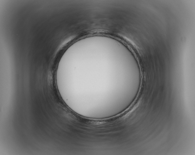 X0000113041309200908271026