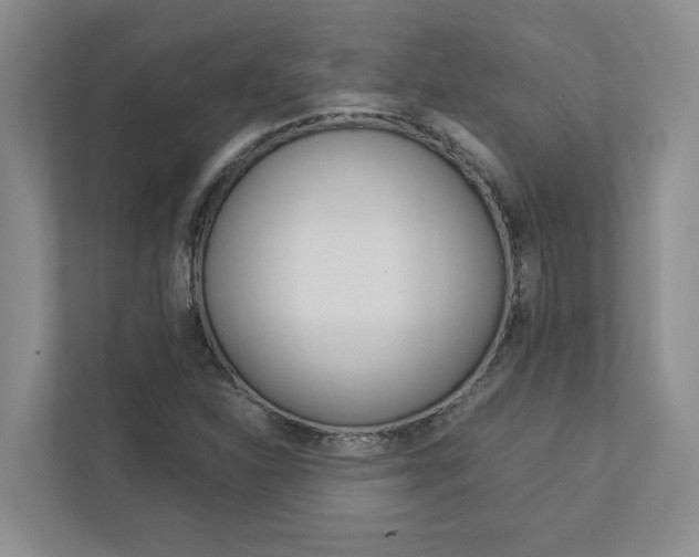 X0000113041310200908271026