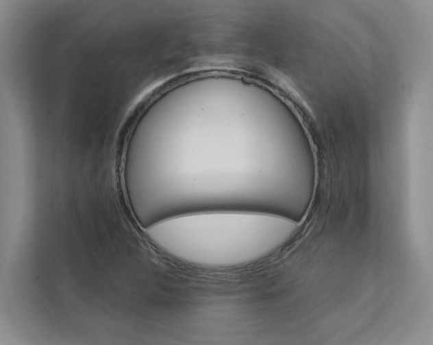 X0000113041312200908271026