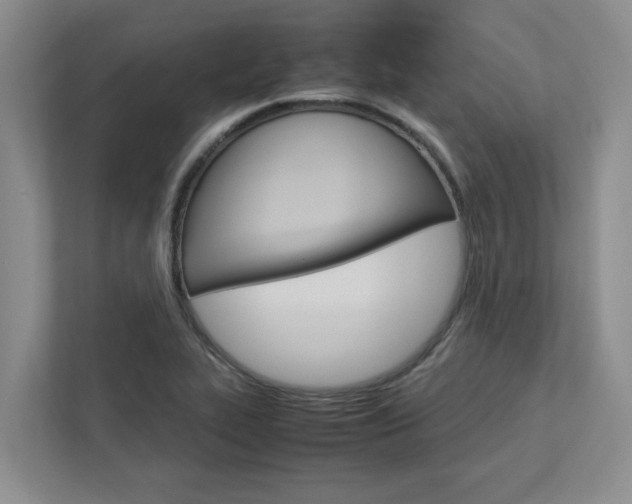 X0000113041319200908271026