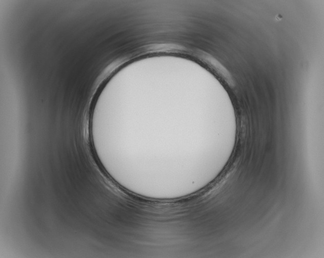 X0000113041322200908271026