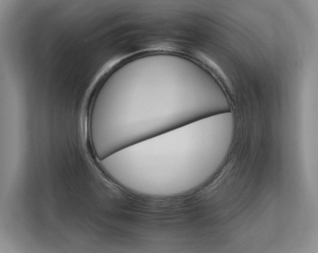X0000113041323200908271026