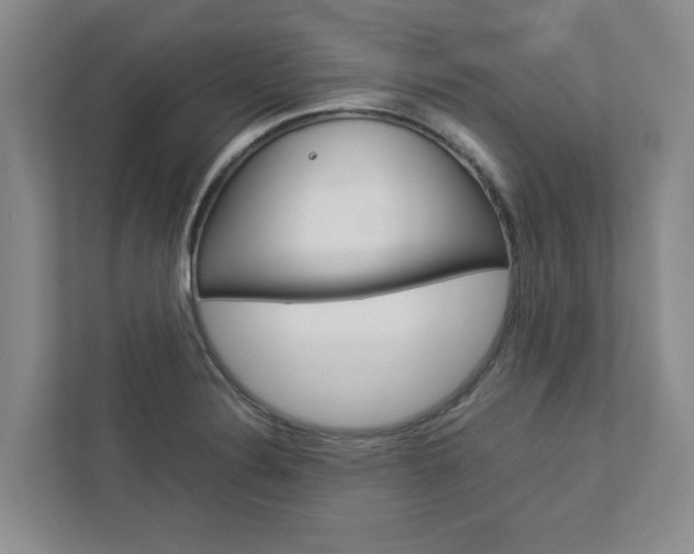 X0000113041324200908271026