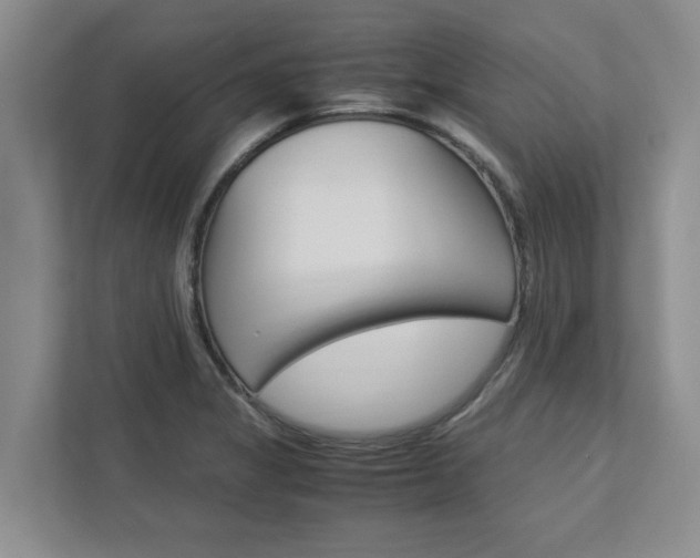 X0000113041325200908271026