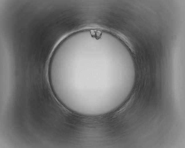 X0000113041326200908271026