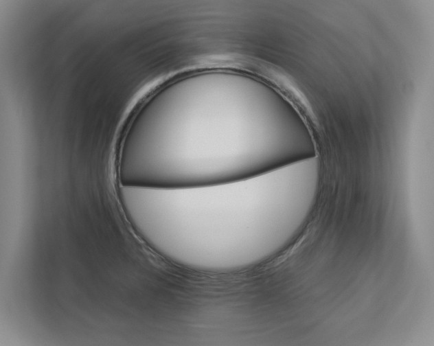 X0000113041328200908271026