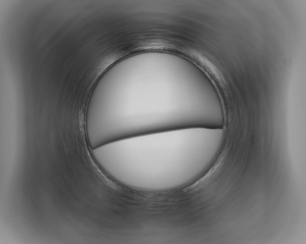 X0000113041329200908271026