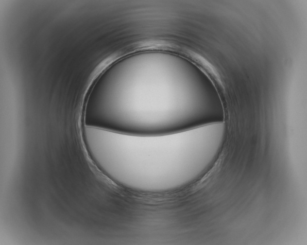 X0000113041330200908271026